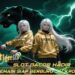 TigerKing388 Slot Maxwin Mudah Menang Modal Kecil