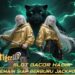 TigerKing388 Main Slot Deposit Qris Modal Kecil